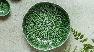 plating-instructions-image